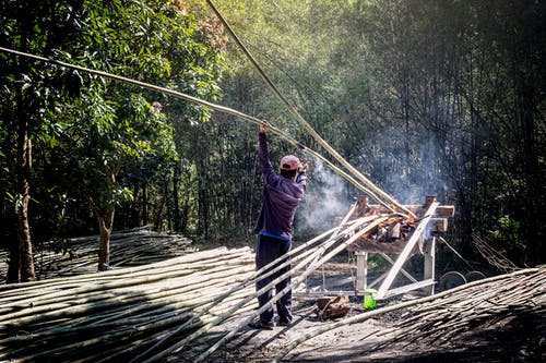 无法认出的工人用火焰烟气干燥竹茎 · 免费素材图片
