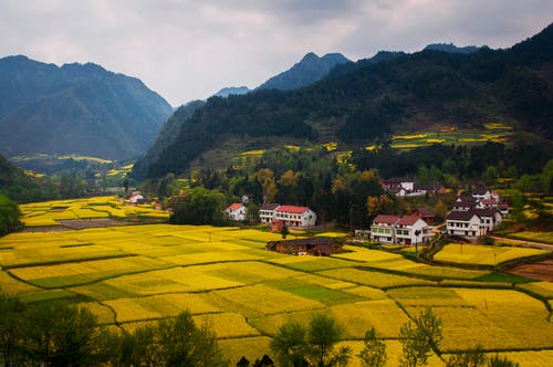 有关农业用地, 农田, 山的免费素材图片