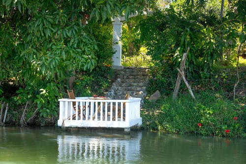 有关公园, 冷静, 分公司的免费素材图片