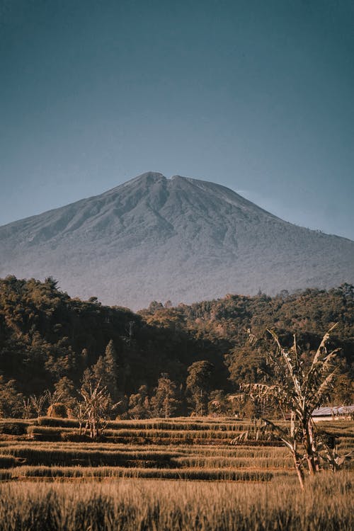 有关中央, 农业用地, 印尼的免费素材图片
