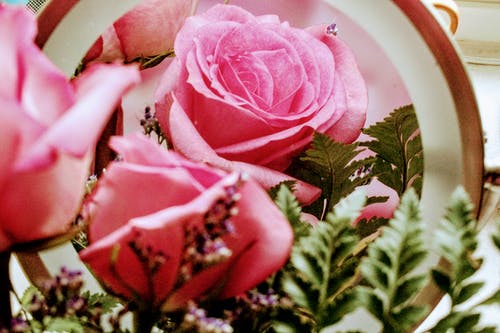 粉色花瓣的花的布置 · 免费素材图片