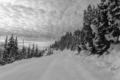 有关冬季, 冬季景观, 大雪覆盖的免费素材图片