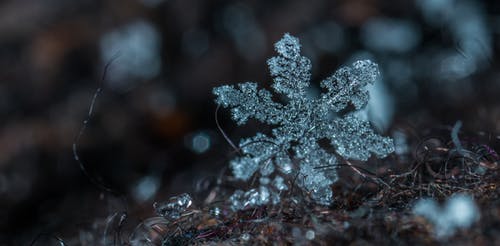 雪花的微距摄影 · 免费素材图片