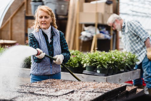 给植物浇水的老妇人 · 免费素材图片