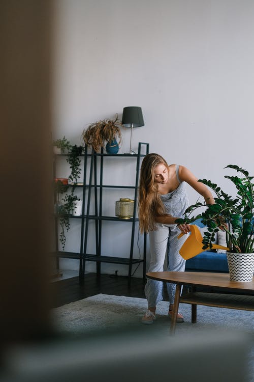 有关休闲, 公寓, 嗜好的免费素材图片