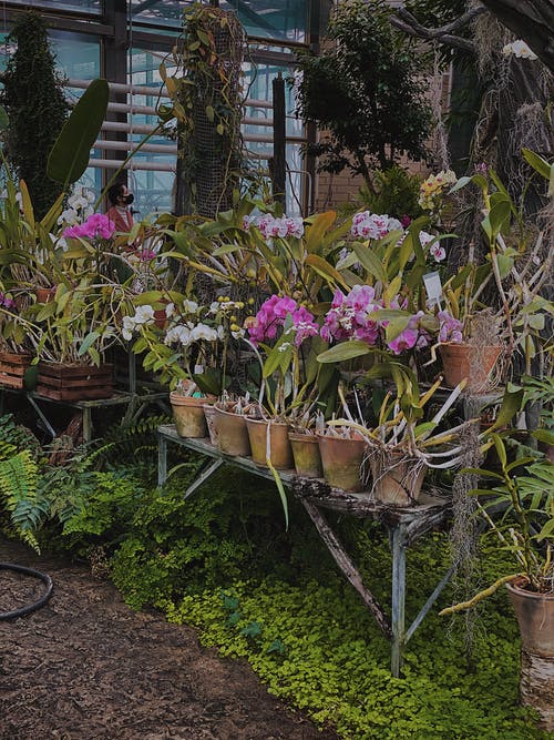 有关什锦的, 各种, 和谐的免费素材图片