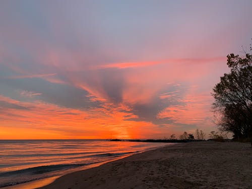 有关冷静, 剪影, 反射的免费素材图片