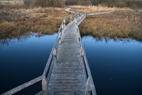 有关反射, 小径, 木桥的免费素材图片