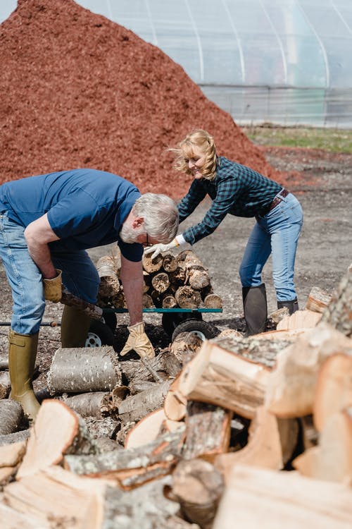 有关一起, 切碎的树林, 垂直拍摄的免费素材图片