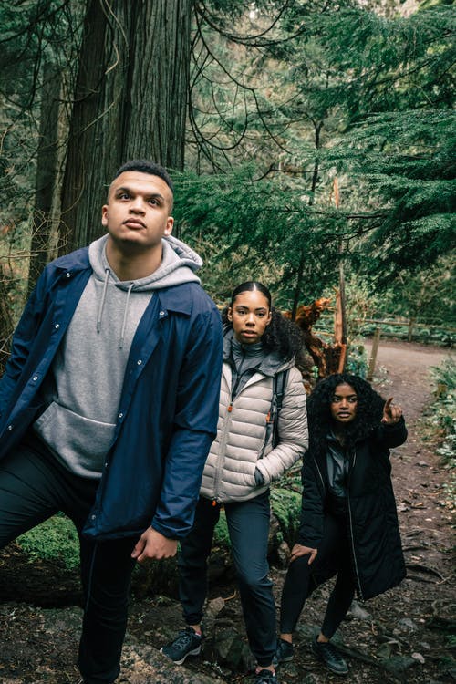 有关人行道, 休闲, 冒险的免费素材图片