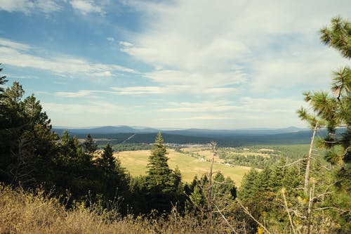 有关乾的, 公园, 冷静的免费素材图片