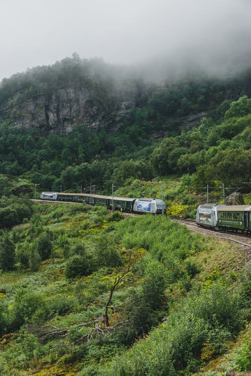 绿树附近的铁轨上的白色和蓝色火车 · 免费素材图片