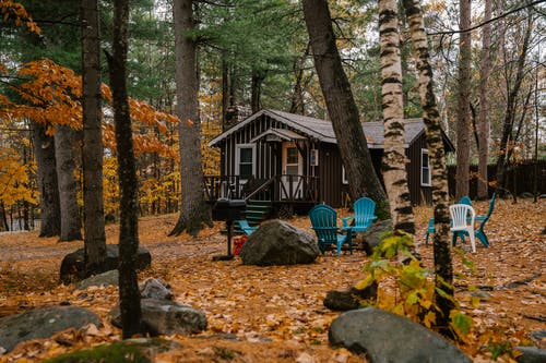 舒适的木屋和椅子在秋天的树林 · 免费素材图片