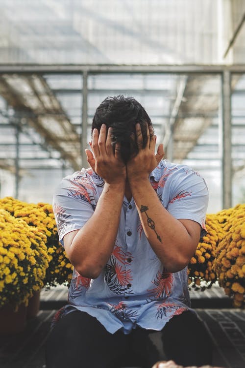花衬衫遮住脸，双手插在盆栽的黄色花朵之间的男人 · 免费素材图片