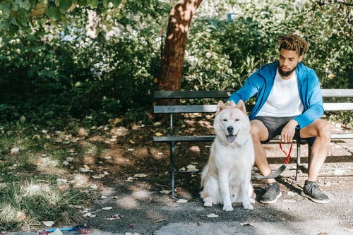 有关一起, 享受, 人的免费素材图片