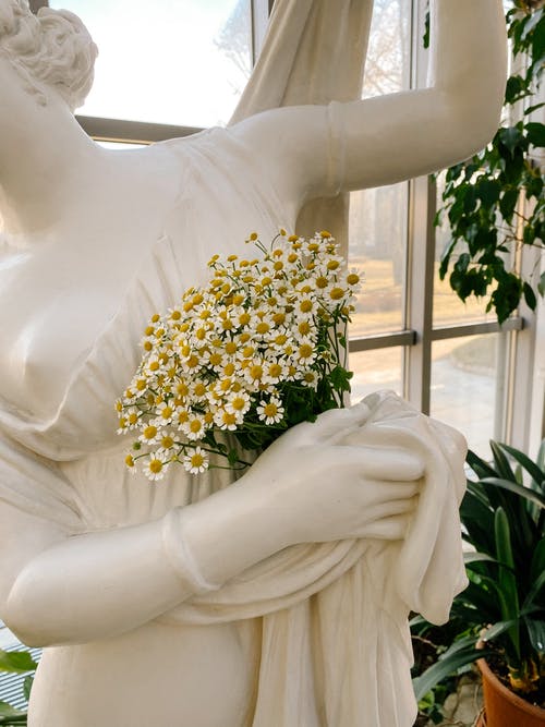 有关白色的花朵, 绽放的花朵, 雕像的免费素材图片