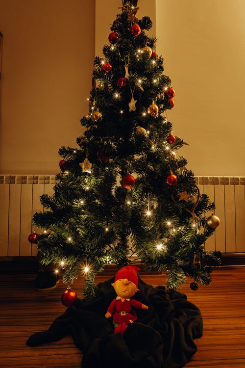 房间里点燃的圣诞树 · 免费素材图片