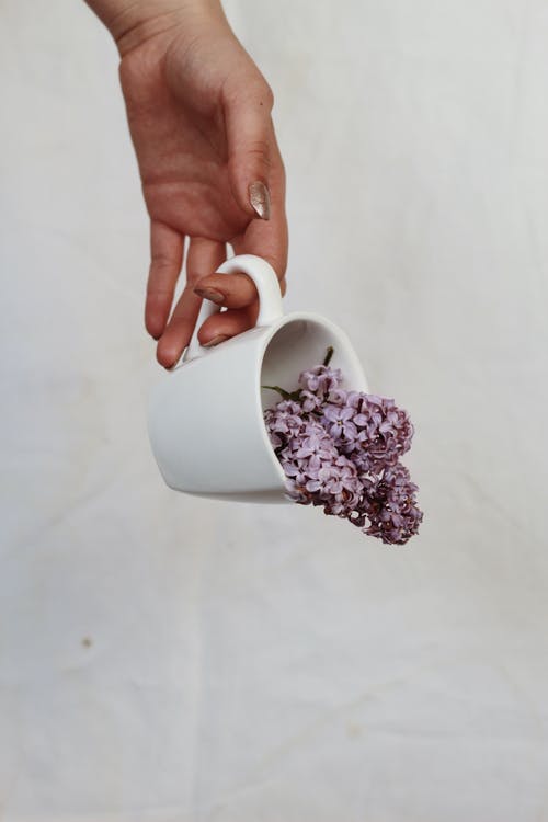 作物女人捧着淡紫色的花杯 · 免费素材图片