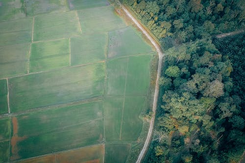 稻田和绿色森林的鸟瞰图摄影 · 免费素材图片
