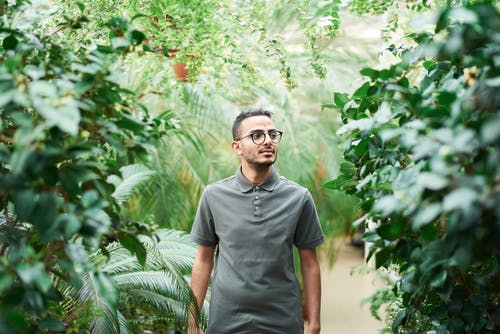 男人穿着马球衬衫站在绿色的叶子的植物附近 · 免费素材图片