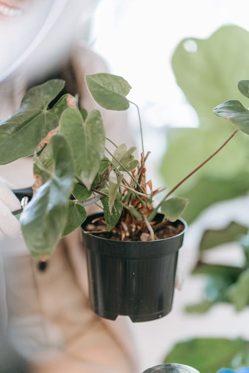 有关垂直拍摄, 工厂, 模糊背景的免费素材图片