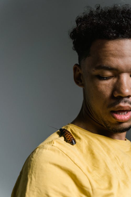 有关人, 问题, 垂直拍摄的免费素材图片