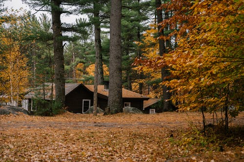 在秋天的树林里的小房子 · 免费素材图片