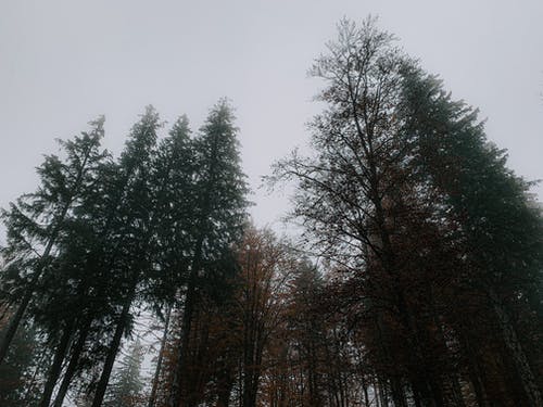 有关下落, 不变, 从下面的免费素材图片