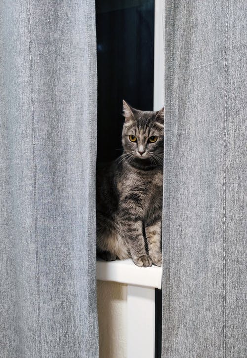 有关光, 公寓, 凝视的免费素材图片