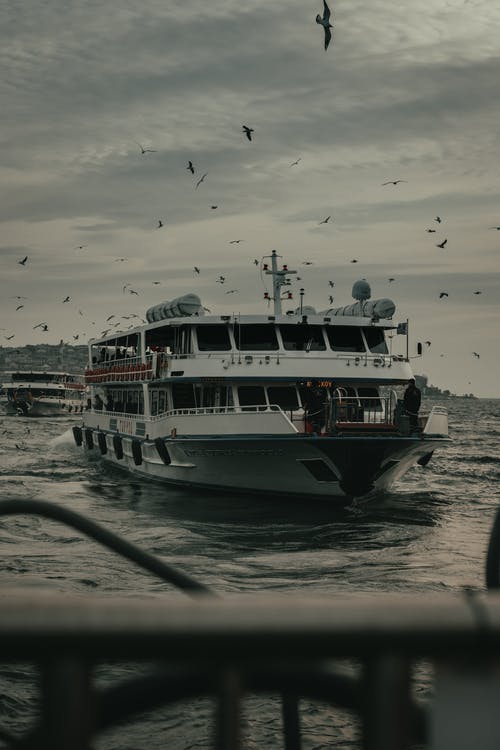 有关乘客, 冒险, 动物的免费素材图片