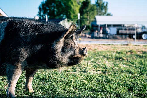 有关侧面图, 公园, 冷静的免费素材图片