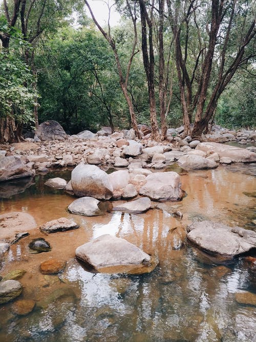 有关パンタノソ, 公园, 冷静的免费素材图片
