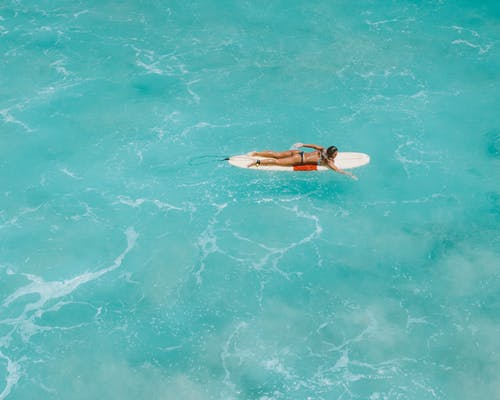 有关划桨, 夏威夷, 天堂的免费素材图片