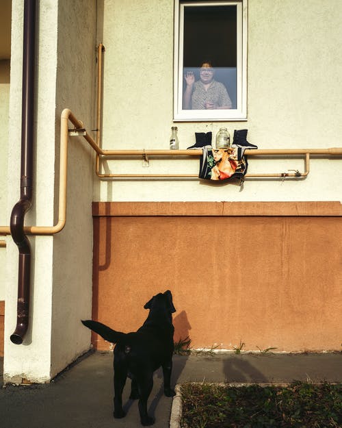 有关动物, 垂直拍摄, 女人的免费素材图片