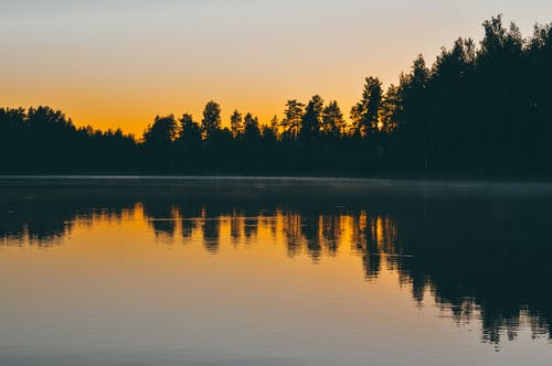 日落时树木附近的平静水 · 免费素材图片