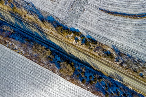 无人机拍摄的蓝色彩色的树木 · 免费素材图片