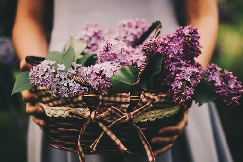 女人抱着紫色的花篮子的照片 · 免费素材图片