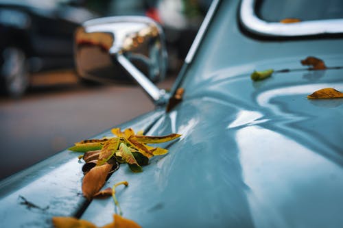落叶在汽车的引擎盖上 · 免费素材图片