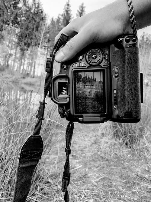 有关bw, 不露面, 人的免费素材图片