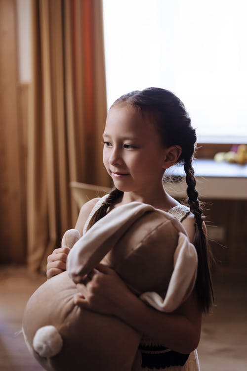 有关在家, 填充玩具, 室内的免费素材图片