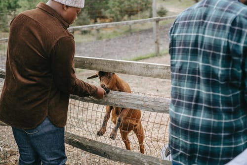 作物民族青少年喂养农场附近的父亲附近的小山羊 · 免费素材图片