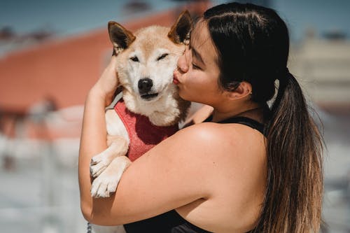 性格开朗的亚洲女人亲吻可爱的柴犬 · 免费素材图片