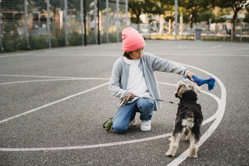 在城市运动场上训练约克夏犬的亚洲男孩 · 免费素材图片