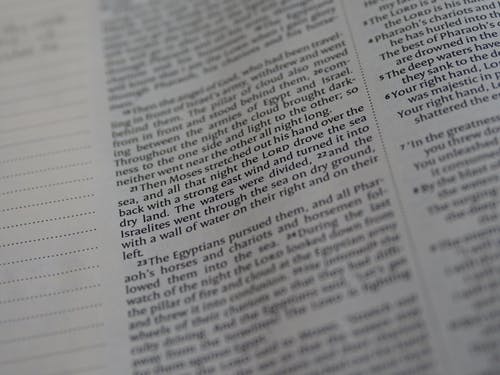 有关信仰, 出埃及记, 基督教的免费素材图片