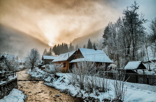 有关冬季, 冷, 冷冰的的免费素材图片