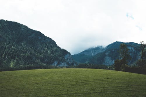 反对山与植被的草田 · 免费素材图片