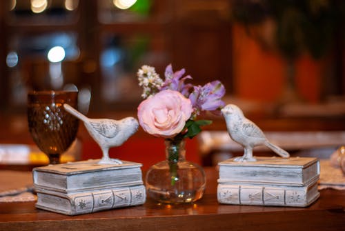 有关布局, 作文, 创作的的免费素材图片