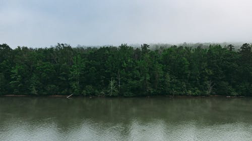 有关Copyspace, 冷, 冷静的免费素材图片