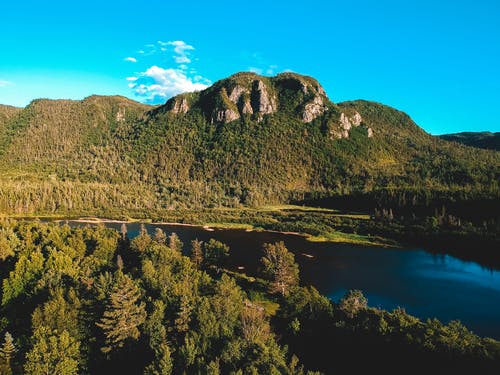 有关不变, 充满活力, 冷静的免费素材图片