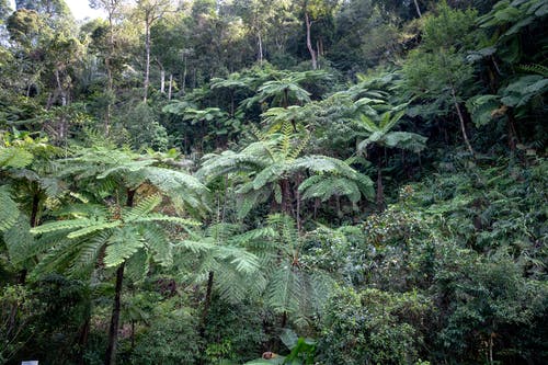 有关不变, 不均匀的, 场景的免费素材图片